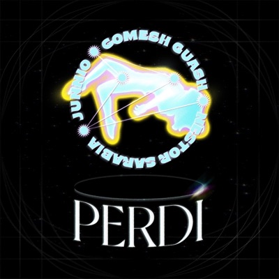 Perdí - Single