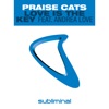 Praise Cats - Love Is the Key Feat. Andrea Love (Love Is the Dub)