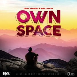 Own Space (feat. Big Chain & Deejay Fingers) [Radio Edit] Don André