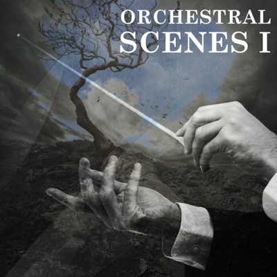 Orchestral Scenes, Vol. I
