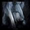 Fifty Shades - THEMXXNLIGHT lyrics