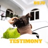 Testimony - Single