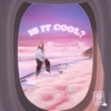is it cool? - Single
