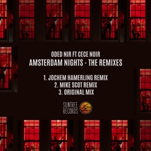 Amsterdam Nights (The Remixes) [feat. Cece Noir] - Single