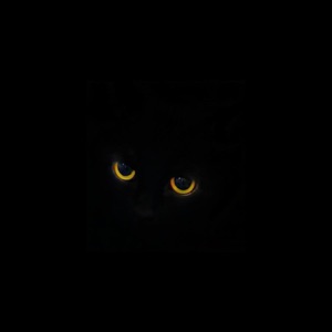 Когда я стану кошкой - Single