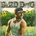 Bird Dog