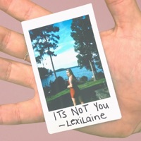 It's Not You - Single - LexiLaine