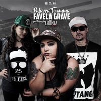 Favela Grave (feat. Crônica Mendes) - Single - Palavra Feminina
