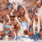 No Cap (feat. Go Yayo) - Asian Doll lyrics