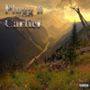 Plugg n Cartier (feat. Rich Amiri) - Single