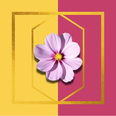 FLOWERS (feat. BARRYTHEPRODUCER, HYFN ALEXZANDER & Drewski) - Single