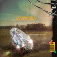Diamond In the Dirt - Single - HEX