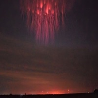 Rézale (Live) - Single - BALAM ARIES