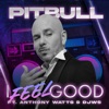 I Feel Good (feat. Anthony Watts & DJWS) - Single