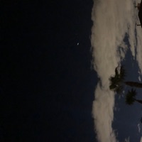 Reality - Single - Txkyo