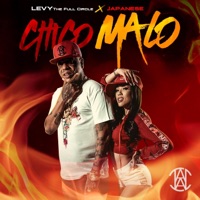 Chico Malo (feat. Japanese) - Single - Levy the full circle