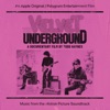 The Velvet Underground: A Documentary Film By Todd Haynes (Music from the Motion Picture Soundtrack) artwork