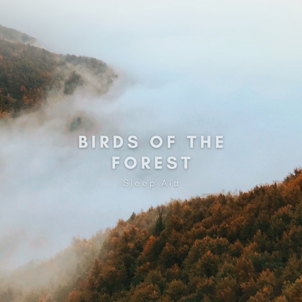 DOWNLOAD} Natural Sounds Selections Nature So - Birds of the Forest Sleep  Aid EP {ALBUM MP3 ZIP} - Engenharia Exercícios