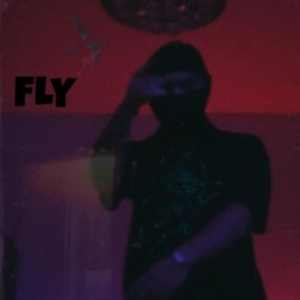 Fly Vito XX
