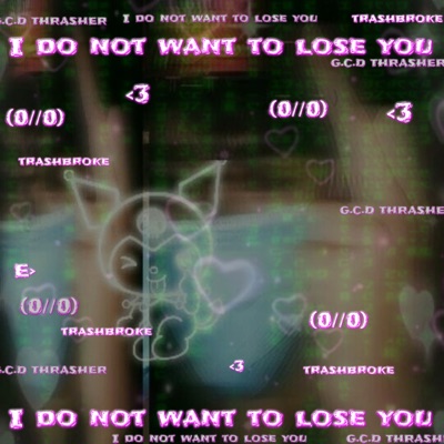 I Do Not Want to Lose You - Single