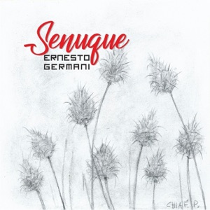 Senuque