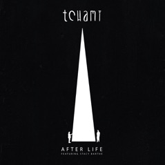 After Life (feat. Stacy Barthe) - Single