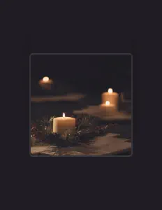 piano diaryを聴いたり、ミュージックビデオを鑑賞したり、経歴やツアー日程などを確認したりしましょう！