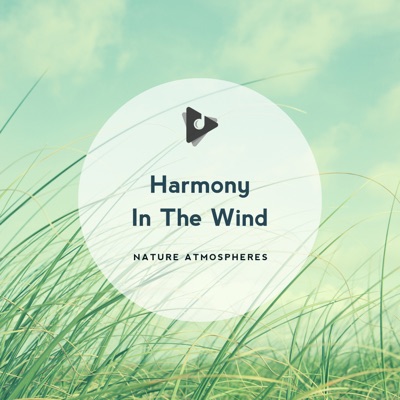 Harmony In the Wind