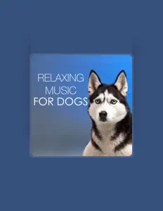 Dengarkan Pet Therapy, tonton video musik, baca bio, lihat tanggal tur & lainnya!