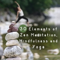 30 Elements of Zen Meditation, Mindfulness and Yoga: Best Music for Transcendental Meditation, Buddhist Chants, Inner Peace, Spiritual Journey - Mantra Yoga Music Oasis