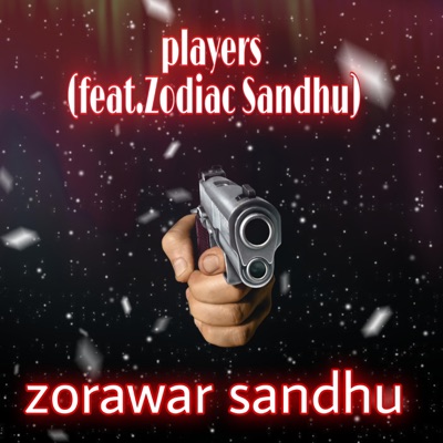 players (feat. Zodiac Sandhu) - Single