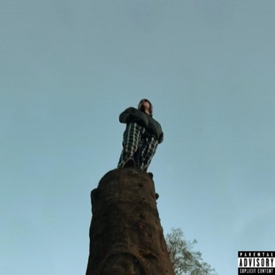 The Story of Detritus - Single