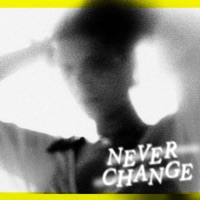 Never Change - Single - Vikkie