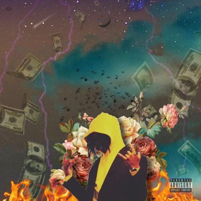 New Heightz - Single