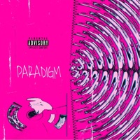 Paradigm - Single - Pat App