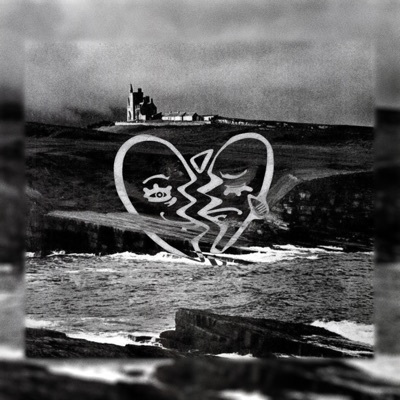 Sunflower Rain - Single