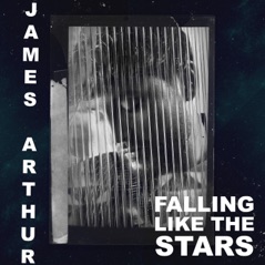 Falling like the Stars - Single