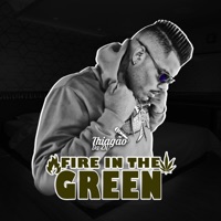 Fire in the Green - Single - MC Thiagão da ZN