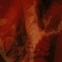 Colors - Single - Elvis Drew