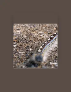 Listen to Dissinfectant Wipes, watch music videos, read bio, see tour dates & more!