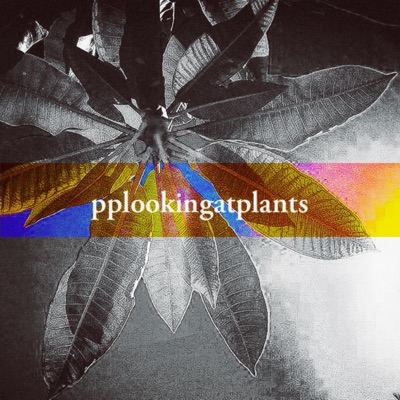 People Looking At Plants