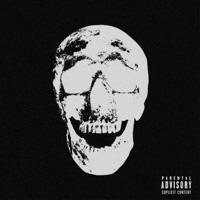 Selfdiagnosis - Single - TR3