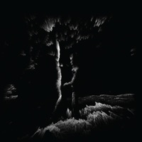 Stop Dragging Yourself On Dirt - Single - Cvnt