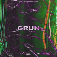 GRUN (feat. Chavo Frate & Rufu$) - Single - 13Hati & RK