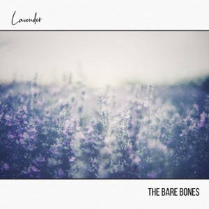 Lavender - Single