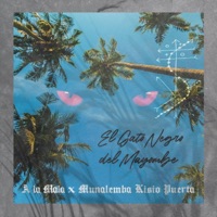 El gato negro del mayombe (feat. Munalemba Kisio Puerta) - Single - A la Mala