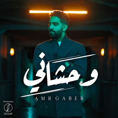 Wahshany - Single