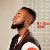 Try for Me artwork