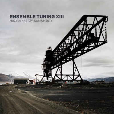 Ensemble Tuning XIII - Muzyka na trzy instrumenty