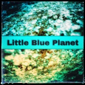 Iskra Valtcheva - Little Blue Planet